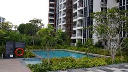 Sims Urban Oasis (D14), Condominium #428045391